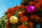 The striking red flowers of New Zealand's native Pohutukawa tree with Christmas decorations.