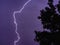 Striking shot of single lighting shot next to a tree against dark purple sky