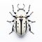 Striking Symmetrical Patterns: White And Black Beetle On A White Background