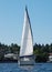 Striking White Sailboat on Lake Union