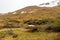 Striking yellow rocks of the Tablelands, Gros Morne National Par