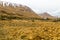 Striking yellow rocks of the Tablelands, Gros Morne National Par