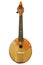 string instrument mandolin on a white background, selective focus , isolate