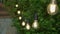 String light garland with white lamp bulbs