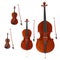 String musical instruments