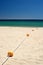 String of yellow buoys on sunny, sandy beach