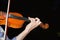 A Stringed music instrument zoom on a violin