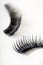 Strip False Eyelashes