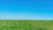 A strip of grass against the blue sky. Rural landscape with a copy space. Green field and blue sky for mockup and photo collage