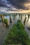 Strip of grass leading to the water and pilings.