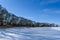 A strip of trees on the shore of a frozen lake