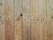 Strip Wooden Wall. Solid Oak Textured.