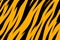 Stripe animals jungle tiger fur texture pattern yellow orange black