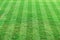 Stripe grass soccer field. Sport lawn background