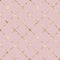 Stripe grunge plaid pastel pink seamless pattern with gold glitter line contour background