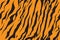 Stripe jungle tiger fur texture pattern repeating orange yellow black