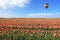 The striped balloon flies over a buttercups.