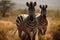 Striped beauty zebras portrait set against the vibrant forest backdrop