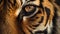 Striped Bengal tiger staring, close up portrait of wild beauty generated by AI