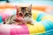 Striped cat on inflatable mattress. AI Generated.