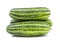 Striped cucumber