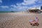 Striped deckchairs on brighton beach uk