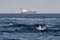 Striped dolphin jumpin at sunset in front of container ship