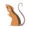 Striped Field Mouse as Small Rodent with Long Tail Standing Back View Vector Illustration