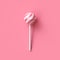 Striped fruit pink and white lollipop on stick on pink background