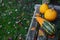 Striped gourd and two yellow ornamental gourds