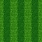Striped green grass field seamless vector