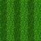 Striped green grass field seamless vector texture