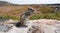 Striped ground squirrel (Xerus erythropus)