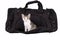 Striped kitten in the bag