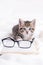 Striped kitten with book and eyeglasses lying on white bed. Clever cute little domestic cat. Education and back to