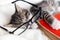 Striped kitten sleeping with book and eyeglasses lying on white bed. Clever cute little domestic cat. Education and back