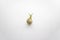 Striped land snail on the white background. Grove snail moving up against white background