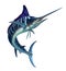 Striped marlin on sea, fish sword