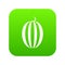 Striped melon icon digital green