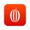 Striped melon icon digital red