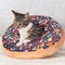 A striped mongrel kitten plays with an orange pillow with a hole in the middle.