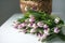 Striped purple fleming flag tulips lie on the table near the basket. Bouquet of flowers