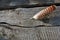 Striped red feather of hoopoe Upupa epops close up stuck in wooden grunge texture background