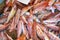 Striped Red Mullet, Recently Fished, Fish Market, Spain