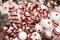 Striped in red and white colors christmas canes and balls with dots