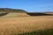 Striped rural field