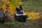 Striped Skunk Mephitis mephitis Stands Under Leaves Tail Up Autumn