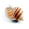 Striped spiral seashell.