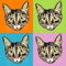 Striped Tabby Cat Faces