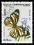 Striped Tiger Danaus genutia, Butterflies serie, circa 1986